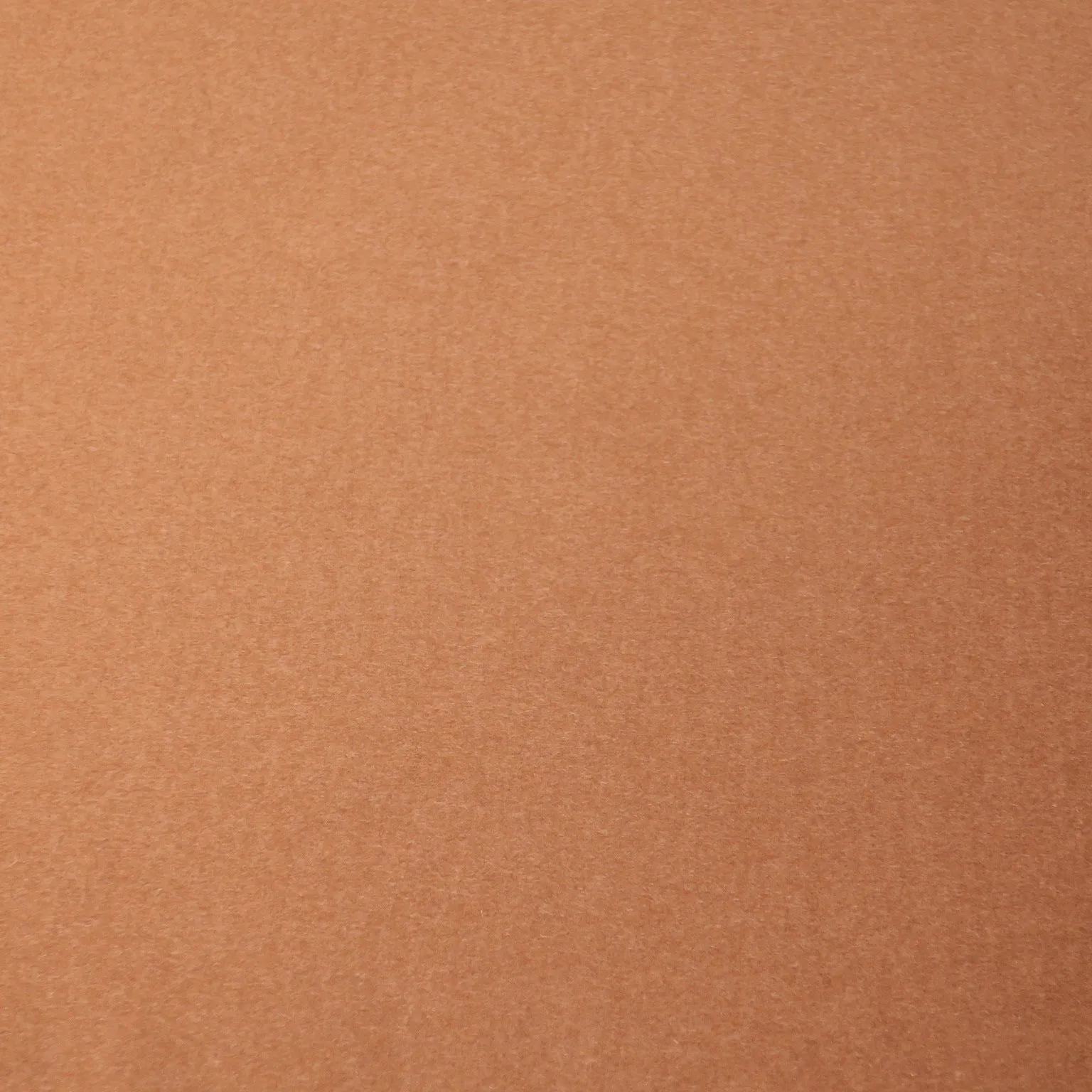 Camel Brown Solid Plain Wool and Angora Loro Piana Fabric